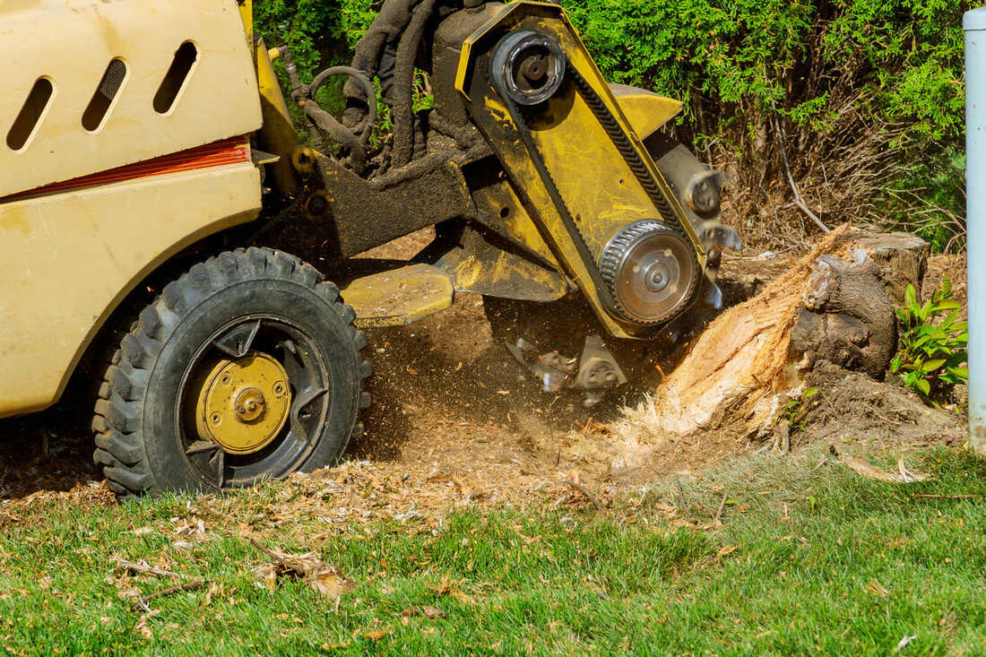 Stump Grinding in Springfield IL
